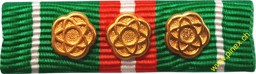 Bild von Auszeichnung für Inland Einsätze 950 Diensttage silber Armee 21 Ribbon